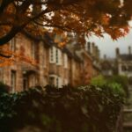 成人单眼弱视自救指南：六步训练法，每一步该练什么？